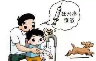 最新狂犬病發作視頻，理解與應對的挑戰