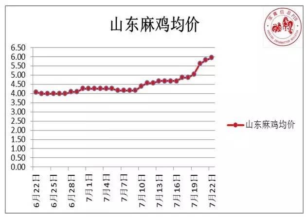 今日麻雞價格最新報價及分析