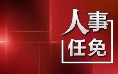 中央最新人事任免，蔡某某的新職務與未來展望