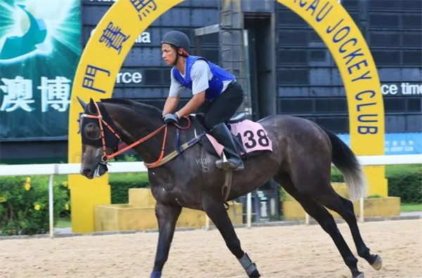 澳門開特馬+開獎結果課特色抽獎|合同釋義解釋落實