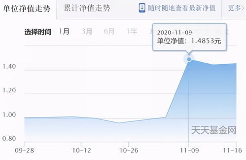 最新凈值是什么意思